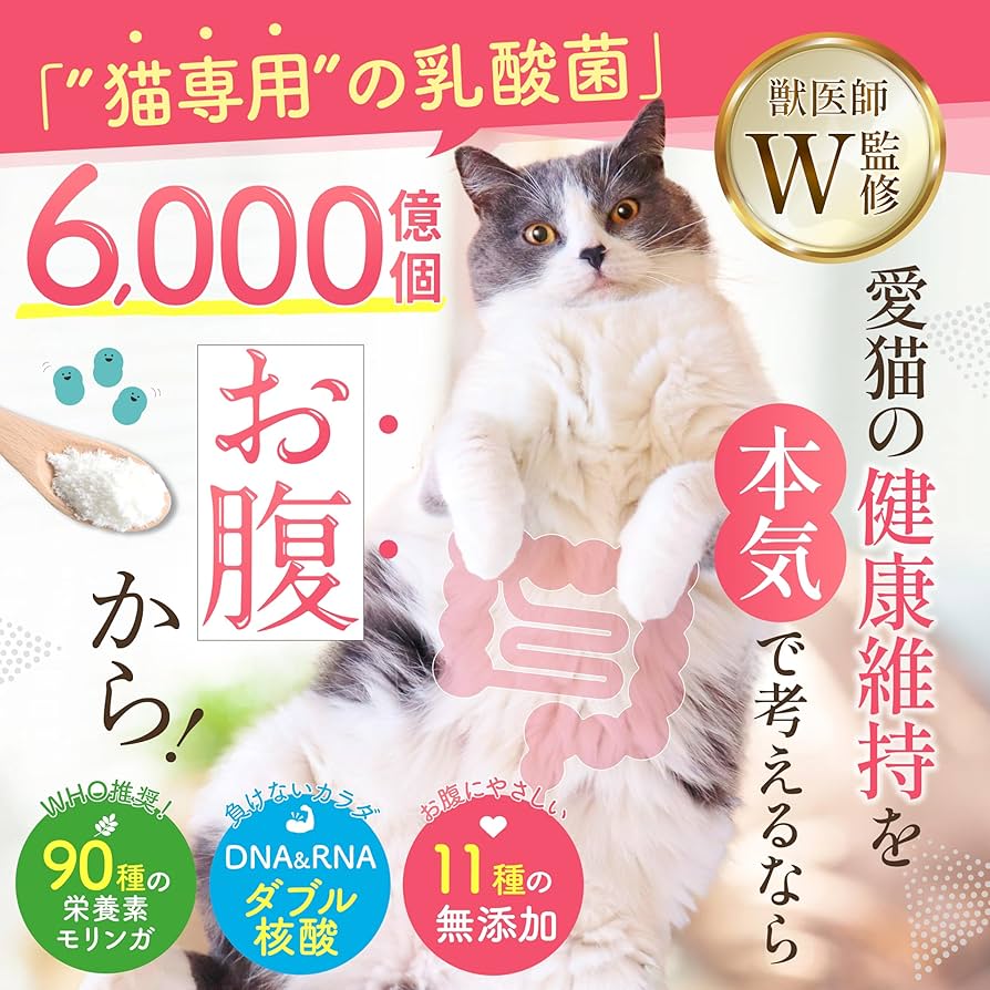 【値下げ】kokona ここな ココナ 猫用健康補助食品   60g✖️2袋 Amazon.co.jp: ここな kokona 猫 乳酸菌 酵素 サプリメント モリンガ